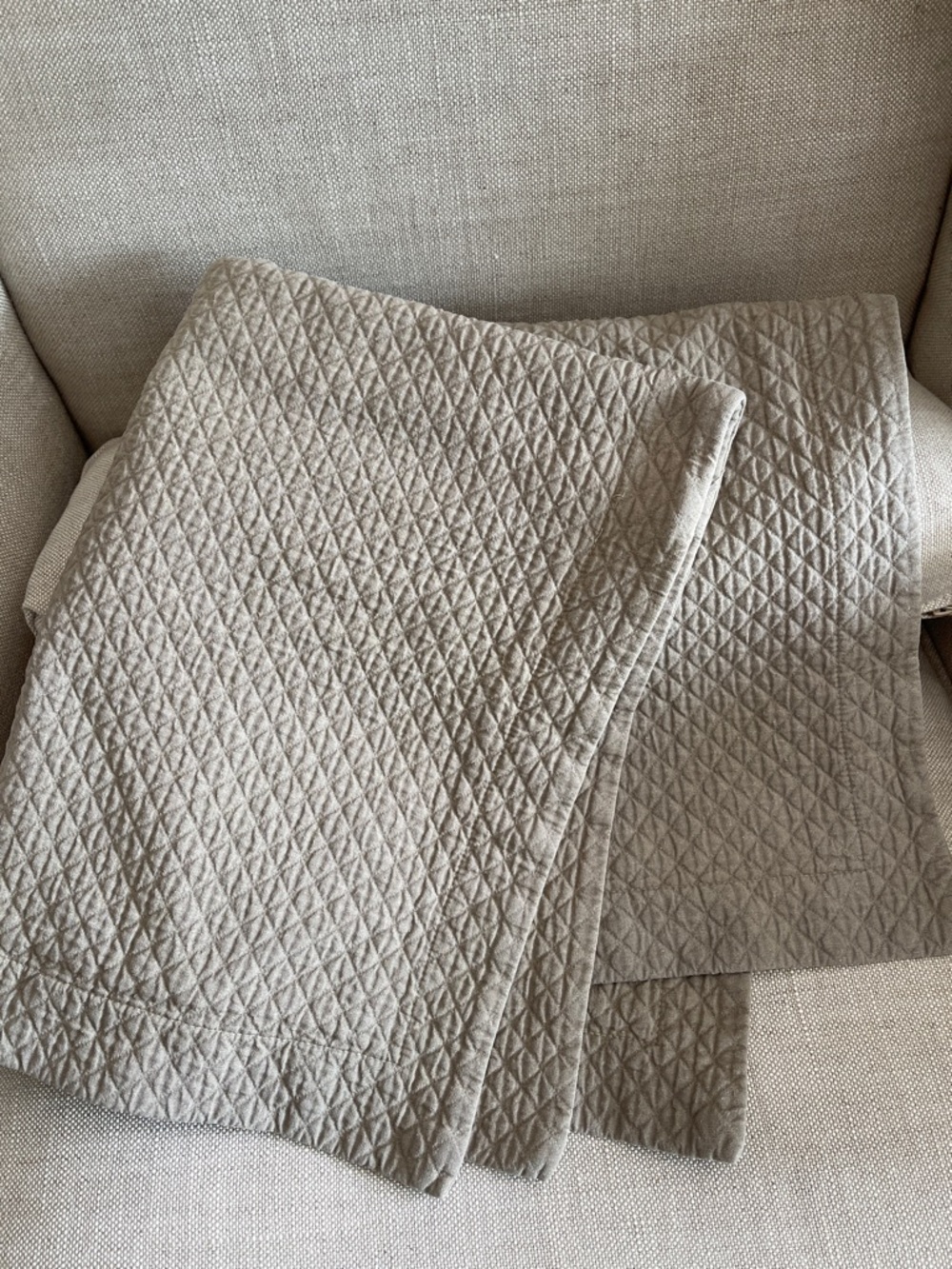 Restoration hardware set of 2 decorative Shams pillow cases XL